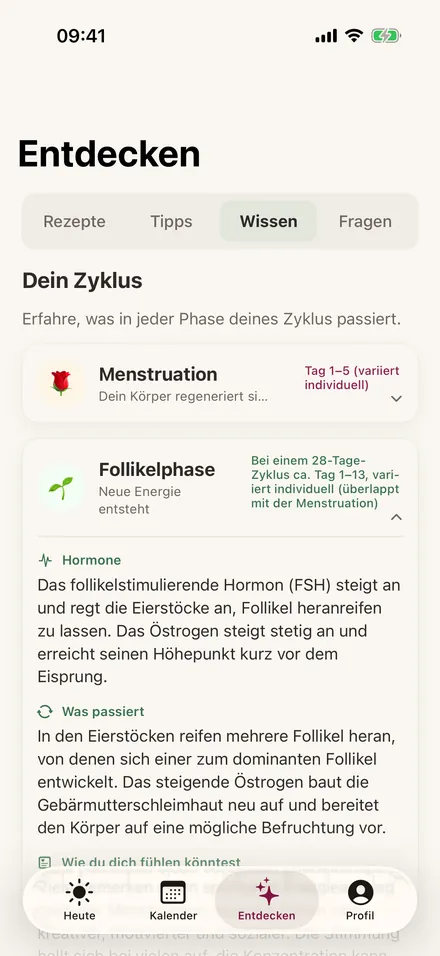 Wissen — Zyklusphasen und Hormon-Lexikon